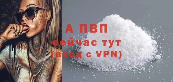 spice Абаза