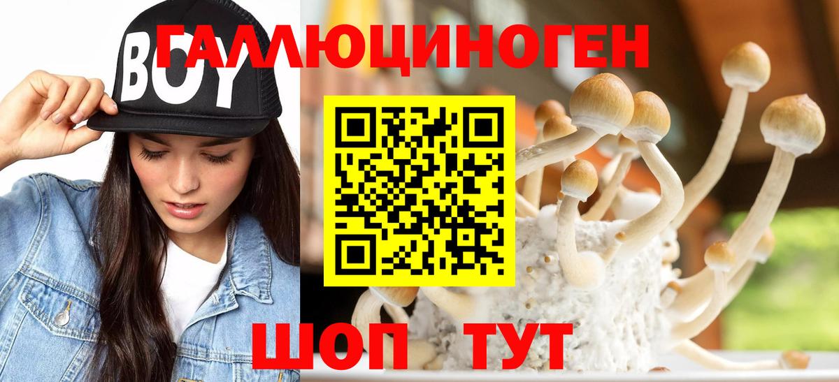 Псилоцибиновые грибы Magic Shrooms  Вход с VPN  Ангарск  Псилоцибиновые грибы GOLDEN TEACHER 